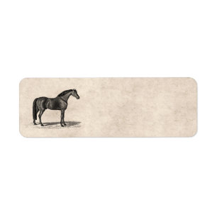 Vintage 1800s Arabian Horse Illustration - Horses Return Address Label