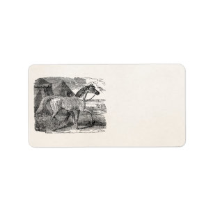 Vintage 1800s Arabian Horse Pyramid Illustration Label