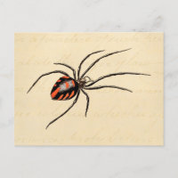 Vintage 1800s Black Red Spider Template Spiders