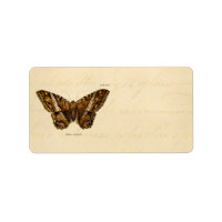 Vintage 1800s Brown Fuzzy Moth Template Butterfly