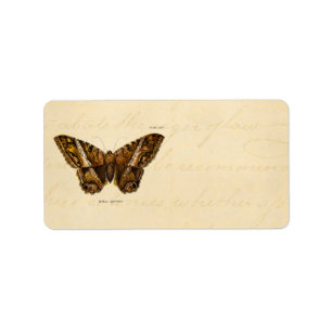 Vintage 1800s Brown Fuzzy Moth Template Butterfly Label