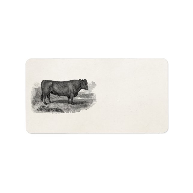 Vintage 1800s Bull Illustration Retro Cow Bulls Label (Front)