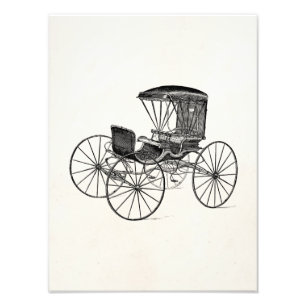 Vintage 1800s Carriage Horse-Drawn Antique Buggy Photo Print