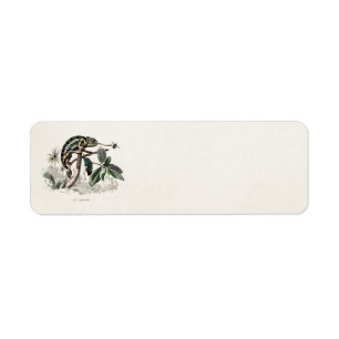 Vintage 1800s Chameleon Lizard Retro Chameleons Return Address Label