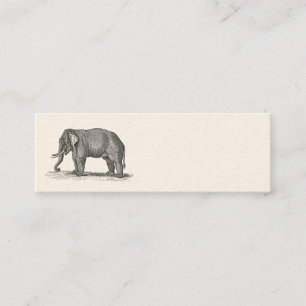 Vintage 1800s Elephant Illustration - Elephants Mini Business Card