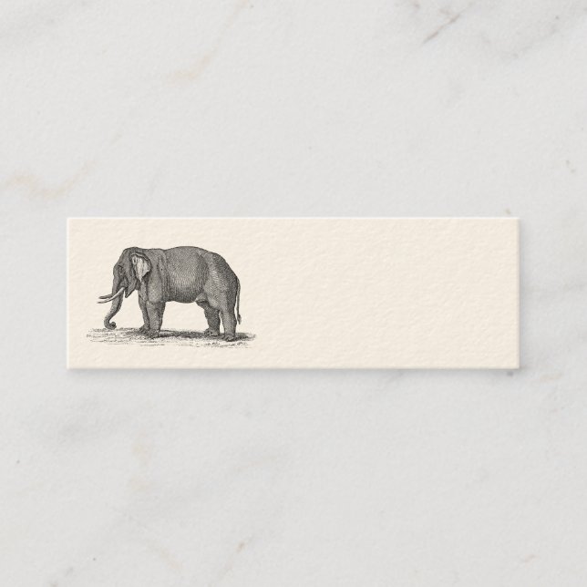 Vintage 1800s Elephant Illustration - Elephants Mini Business Card (Front)