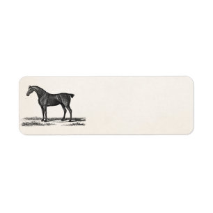 Vintage 1800s English Hunter Horse Hunting Horses Return Address Label
