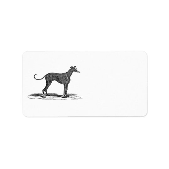 Vintage 1800s Greyhound Dog Illustration - Dogs Address Label