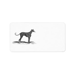 Vintage 1800s Greyhound Dog Illustration - Dogs Label