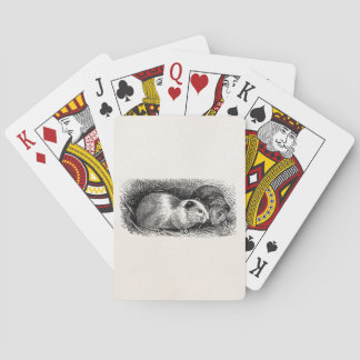 Vintage 1800s Guinea Pig Illustration Retro Cavies Playing Cards
