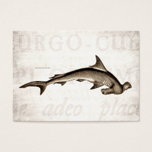 Vintage 1800s Hammerhead Shark Old Hammer Head