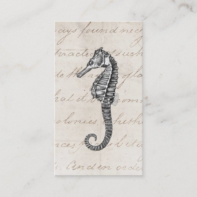 Vintage 1800s Hawaiian Sea Horse Illustration Business Card (Front)