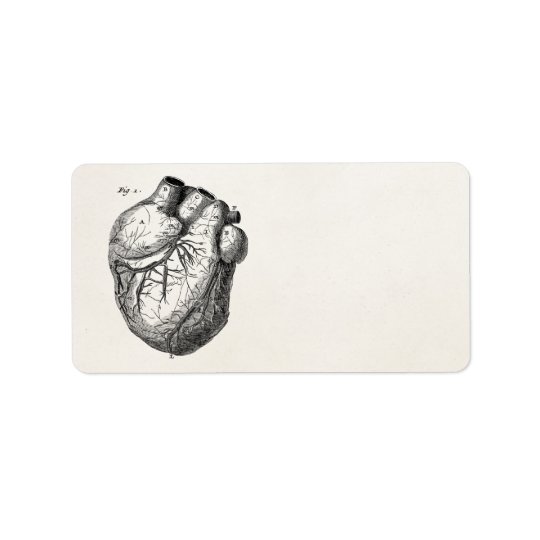 Vintage 1800s Heart Retro Cardiac Anatomy Hearts Address Label
