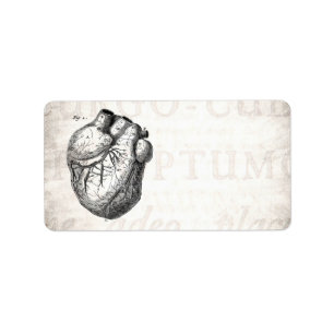 Vintage 1800s Heart Retro Cardiac Anatomy Hearts Label