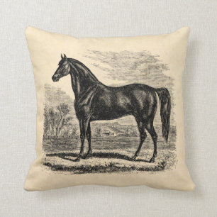Vintage 1800s Horse - Morgan Equestrian Template Cushion
