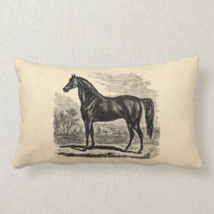 Vintage 1800s Horse - Morgan Equestrian Template Lumbar Cushion