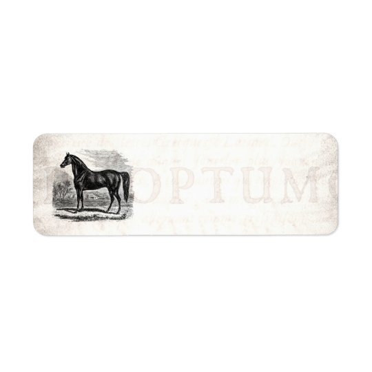 Vintage 1800s Horse - Morgan Equestrian Template Return Address Label