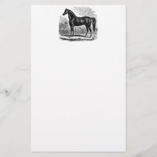 Vintage 1800s Horse - Morgan Equestrian Template Stationery