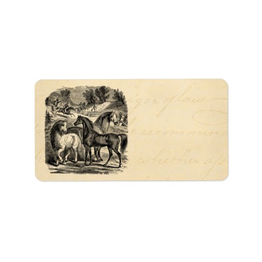 Vintage 1800s Horses Arabian Cart Cossack Horse Address Label
