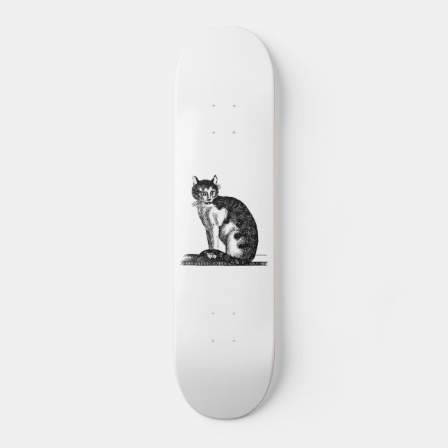 Vintage 1800s House Cat Illustration - Cats Skateboard (Front)