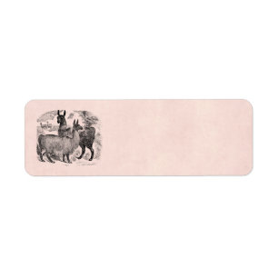 Vintage 1800s Llama Retro Pink Llamas Template Return Address Label