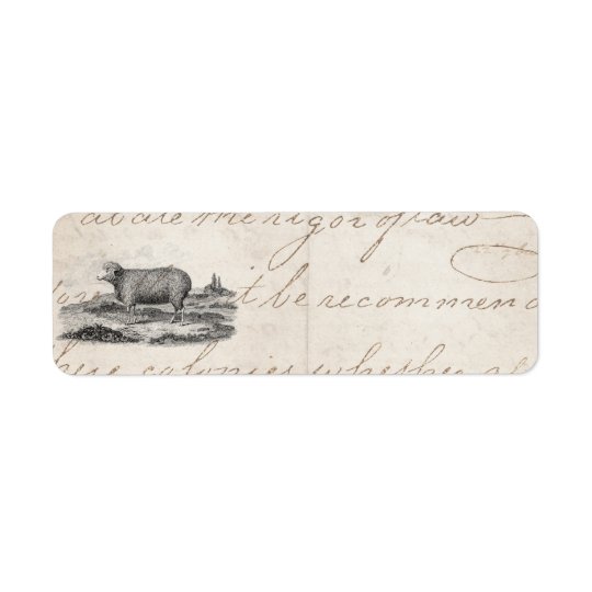 Vintage 1800s Merino Sheep Ewe Lamb Template Return Address Label