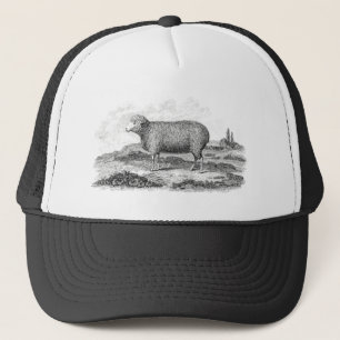 Vintage 1800s Merino Sheep Ewe Lamb Template Trucker Hat