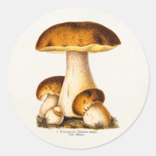 Vintage 1800s Mushroom Edible Mushrooms Template Classic Round Sticker