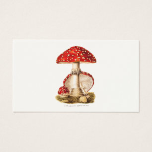 Vintage 1800s Mushroom Red Mushrooms Template