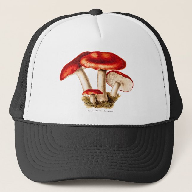 Vintage 1800s Mushroom Red Mushrooms Template Trucker Hat (Front)