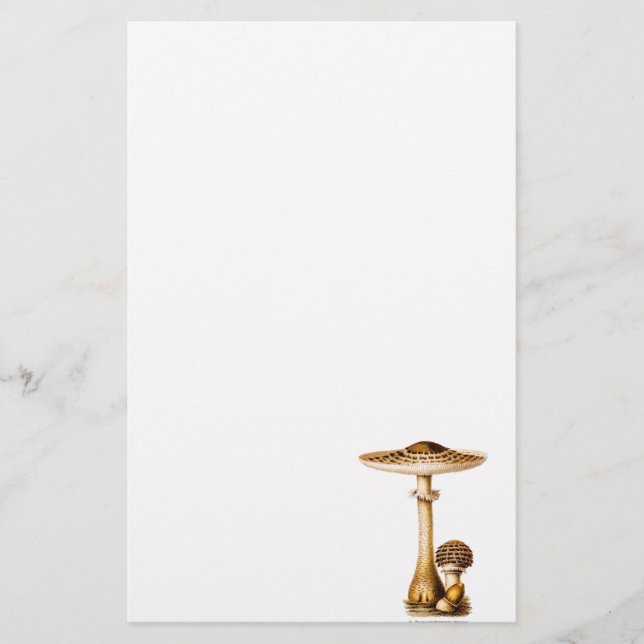 Vintage 1800s Mushroom Spotted Mushrooms Template Stationery (Front)