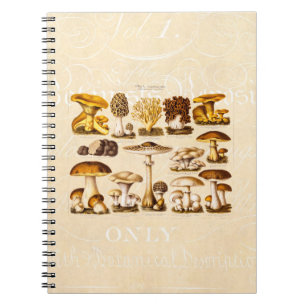 Vintage 1800s Mushroom Variety  Mushrooms Template Notebook