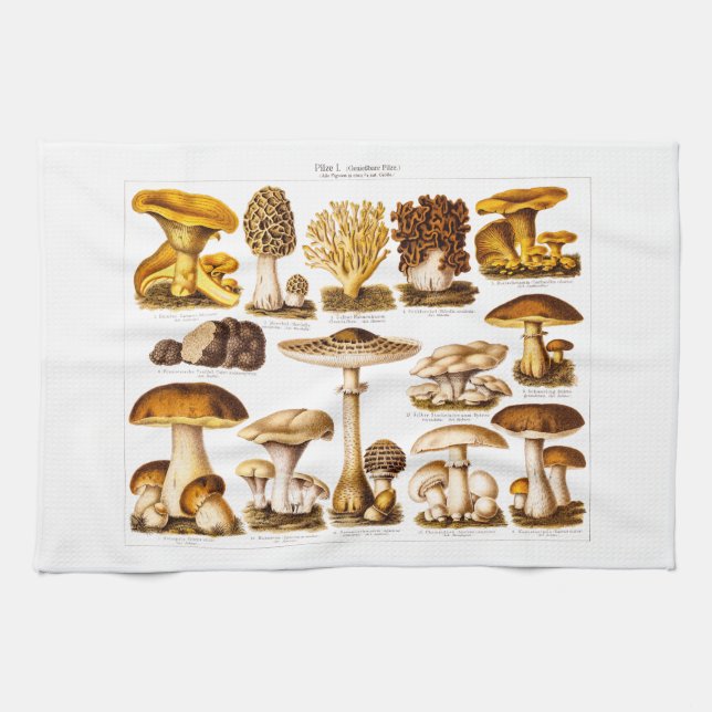 Vintage 1800s Mushroom Variety  Mushrooms Template Tea Towel (Horizontal)
