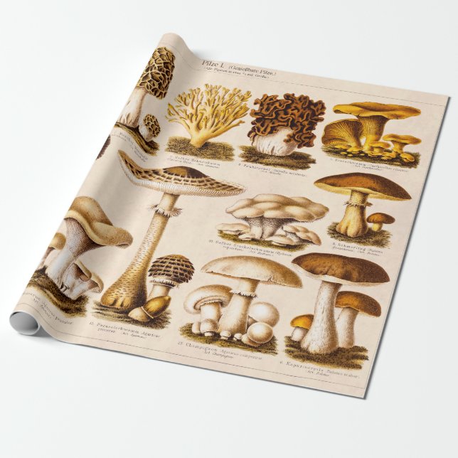 Vintage 1800s Mushroom Variety  Mushrooms Template Wrapping Paper (Unrolled)