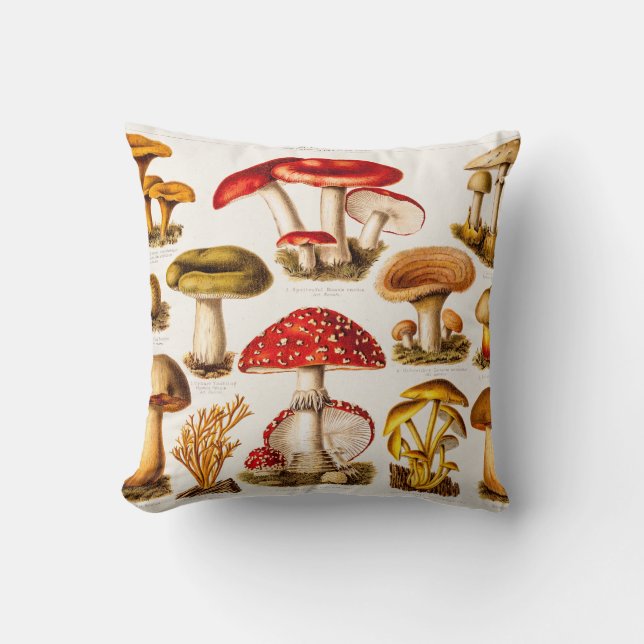 Vintage 1800s Mushroom Variety Template Cushion (Front)