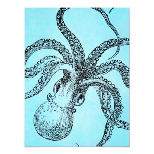 Vintage 1800s Octopus on Teal Blue Watercolor Photo Print