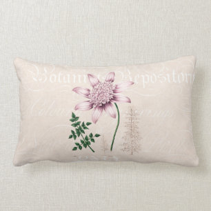 Vintage 1800s Pink Dahlia Flower Dahlias Floral Lumbar Cushion