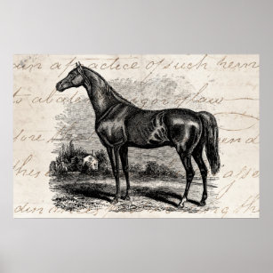 Vintage 1800s Race Horse Retro Thoroughbred Horses Poster