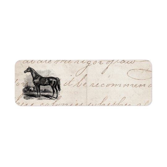 Vintage 1800s Race Horse Retro Thoroughbred Horses Return Address Label
