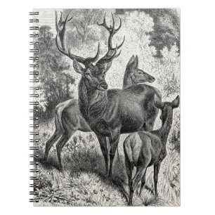 Vintage 1800s Red Deer Illustration Stag Doe Fawn Notebook