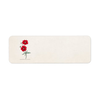 Vintage 1800s Red Flower Potentilla Cinquefoil Return Address Label