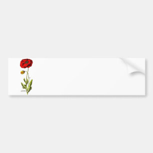 Vintage 1800s Red Poppy Wild Flower Floral Opium Bumper Sticker