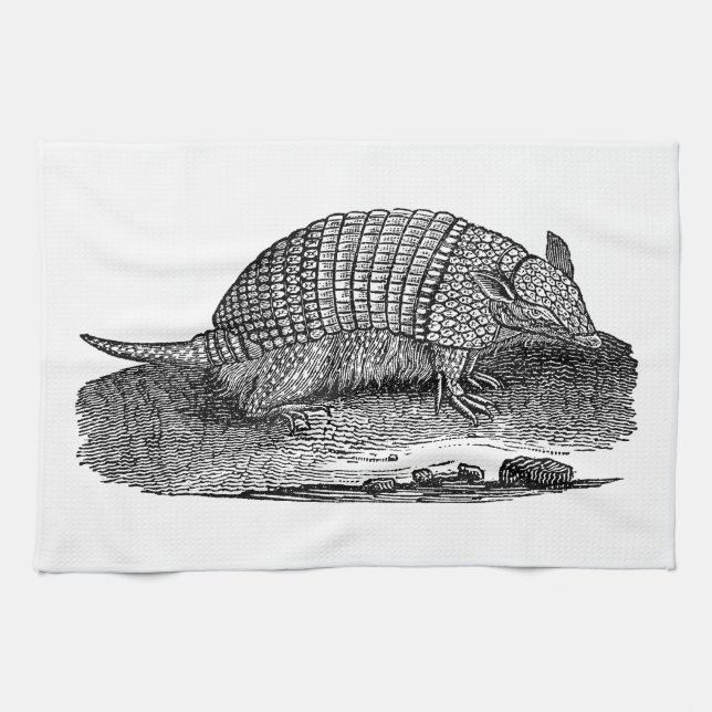 Vintage 1800s Retro Armadillo Antique Armadillos Tea Towel (Horizontal)