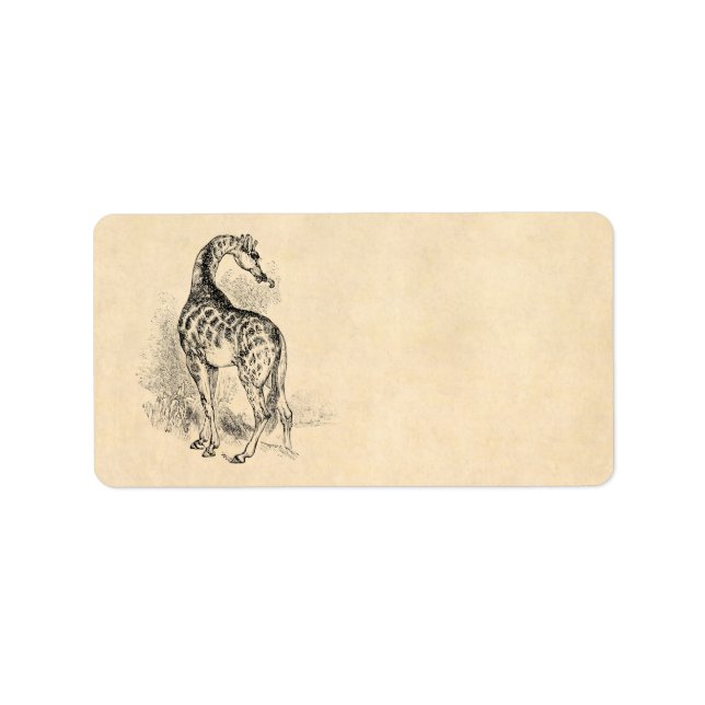 Vintage 1800s Retro Giraffe Illustration Parchment Label (Front)
