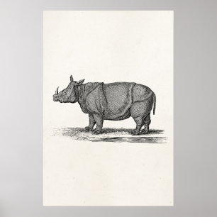 Vintage 1800s Rhinoceros Illustration - Rhino Poster