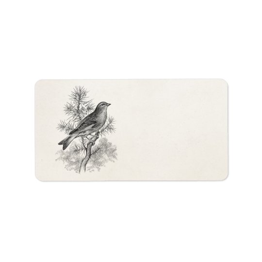 Vintage 1800s Rose Linnet Song Bird Finch Birds Address Label