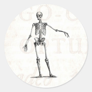 Vintage 1800s Skeleton Retro Skeletons Anatomy Classic Round Sticker