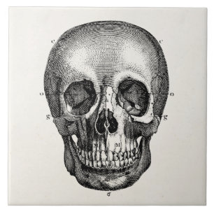 Vintage 1800s Skull Retro Skulls Skeleton Tile