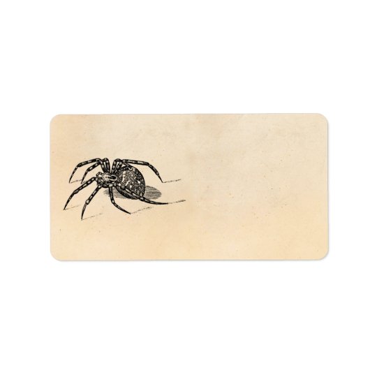 Vintage 1800s Spider Illustration Spiders Template Address Label