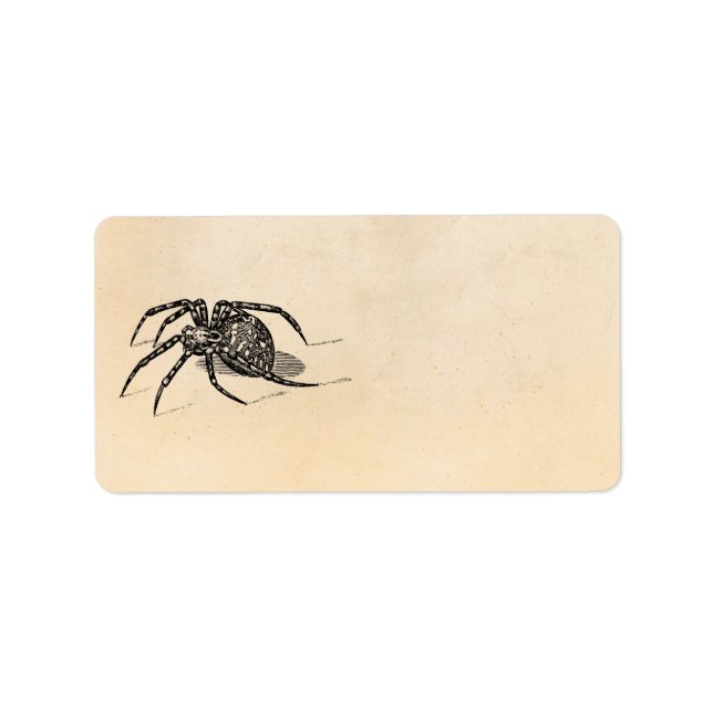Vintage 1800s Spider Illustration Spiders Template Label (Front)